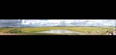 7247-400x189