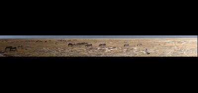 72536-400x189