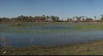 Okawango Delta Botswana