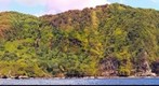 Isla del Coco-Sud/West coast-Costa Rica