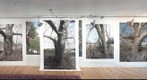 Studio View #5
