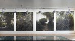 Studio View #4