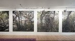 Studio View #1