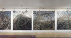 Studio View #6