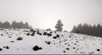 Nieve en el Paisaje Protegido de Las Cumbres, Galdar. Isla de Gran Canaria