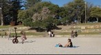 Sculpture by the Sea