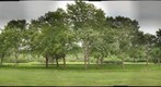 Stone Wall, Litle Compton RI