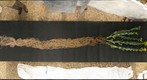 Roots - Sunflower
