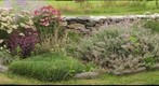 Dee's Garden
