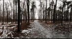Dairy Bush GigaPan - 81 - March 16 2011