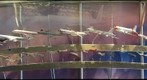 boeing future of flight museum planes