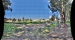 Spring_3