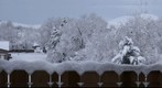 snow 110219