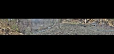 72961-400x189