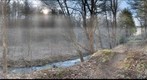 Appalachian Trail (Roan Mountain, Tennessee) #2