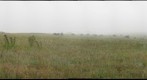Prairie Ghosts