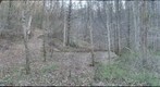 Appalachian Trail (Roan Mountain, Tennessee) #4