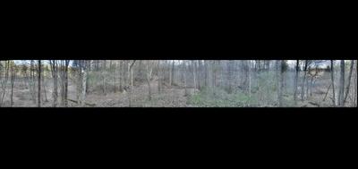 72983-400x189