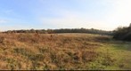 Fleet Pond Heathland