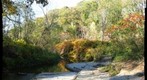 Creek by Montour Trail