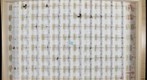 ANT TEST-9