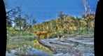Creek 2