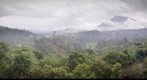 Another Hostel window view of Misty Mountains - 2010/07/07