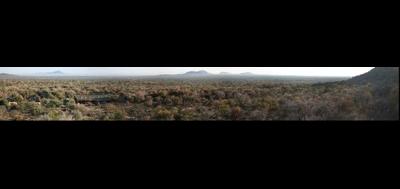 7337-400x189