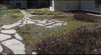 Green Practices Walking Tour Doherty Hall Laboratories Green Roof