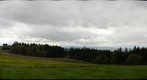 Vineyards1