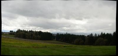 73656-400x189