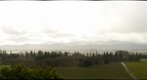 Vineyards4