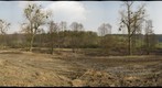 Kéidenger Brill (.lu) - destructions #1 (right eye)