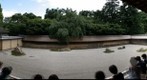 RockGarden_Ryoanji-temple