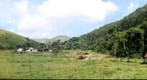 Haras do Hotel Fazenda 3 pinheiros