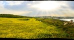 Saint Thomas Bay in Malta