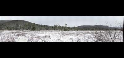 73802-400x189