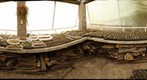Cacti nursery