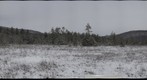 Cranberry Glades Winter 1