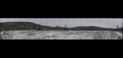 73857-400x189