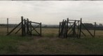 Majdanek Labor Camp by Leah Friedman