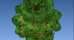 Broccoli from Space