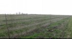 Savino, sjeverni vrh,27.03.2011