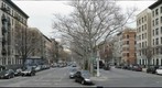 Central Park North