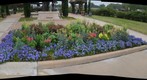 I Scream For Ice Cream - Texas Wildflowers - Blue Bell Ice Cream Factory - Brenham, Texas