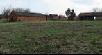 L1, kuce, 27.03.2011