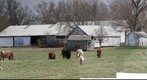 Pasture by Emmaus Church