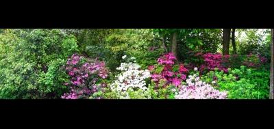 74287-400x189