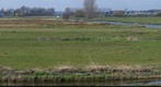 Oosteinderpolder 4 April 2011