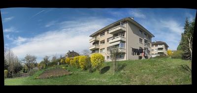 74349-400x189